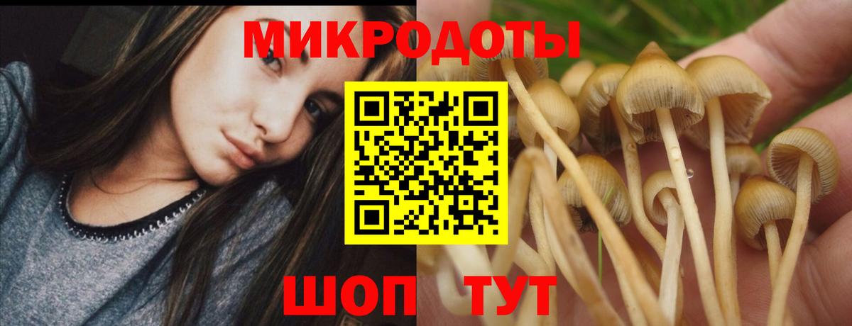 Галлюциногенные грибы мухоморы Белая Калитва